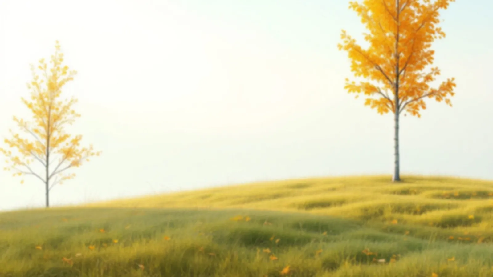 White birch trunks under golden leaves, the YieldBirch look at plain terms on installment loans from $100 to $5,000